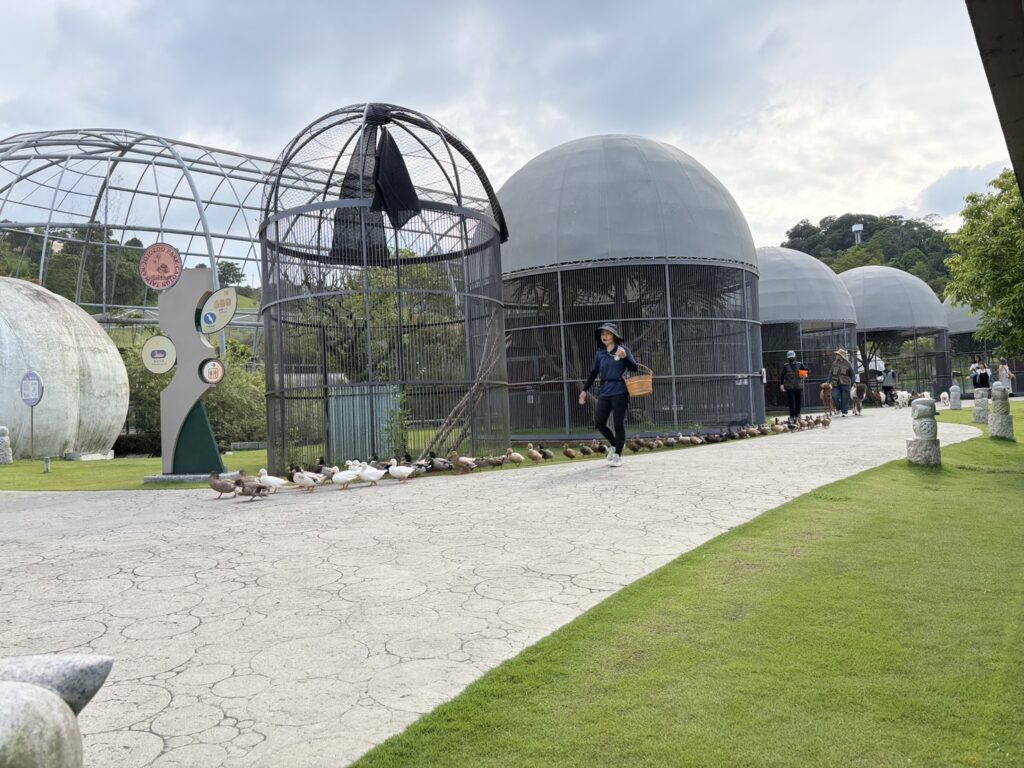 九九峰動物樂園動物遊行