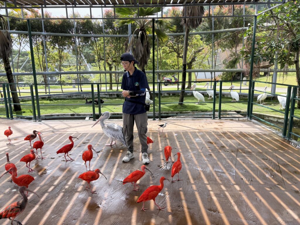 九九峰動物樂園親子
