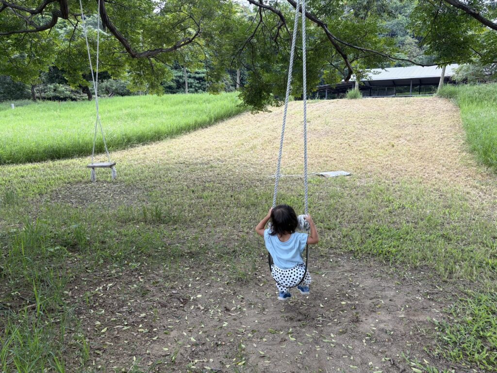 日月山景休閒農場餵牛