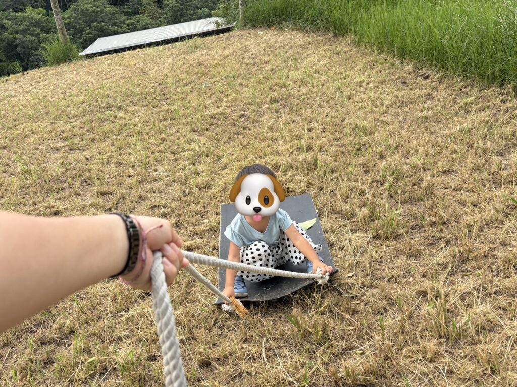 日月山景休閒農場餵牛