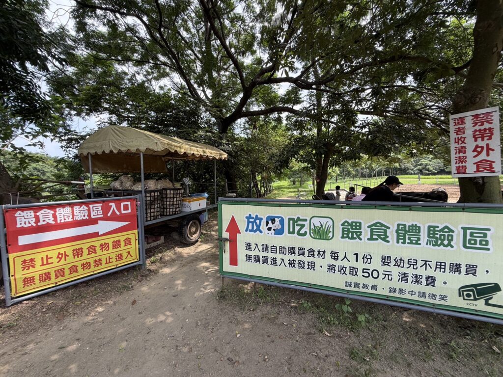 彰化餵牛